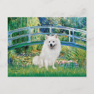 Eskimo Spitz 1 - Bridge Postcard