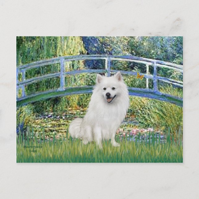 Eskimo Spitz 1 - Bridge Postcard (Front)