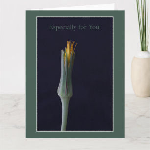 Especially for You! Greeting Card