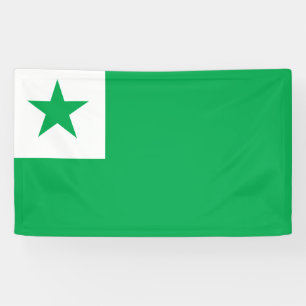 Esperanto flag, banner