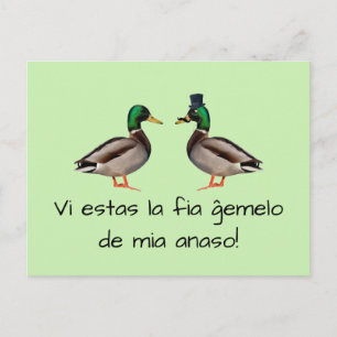 Esperanto: Vi estas la fia ĝemelo de mia anaso! Postcard
