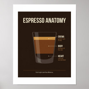 Espresso Anatomy Poster Coffee Bar Wall Art