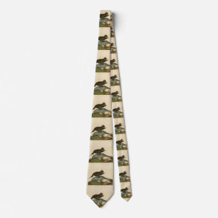Esquimaux Curlew from Audubon's Birds of America Tie