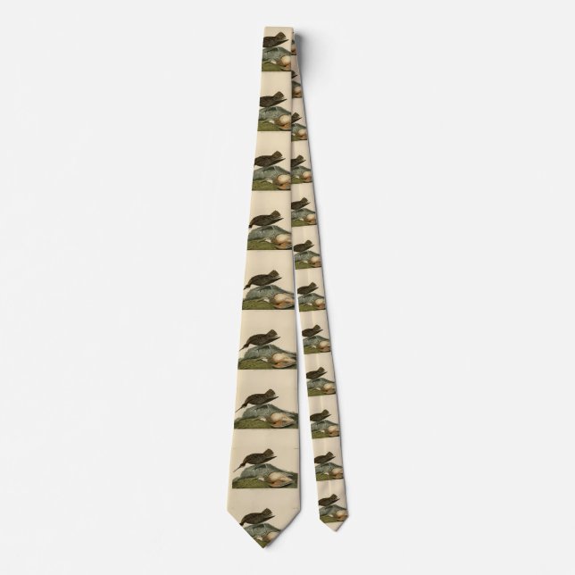 Esquimaux Curlew from Audubon's Birds of America Tie (Front)