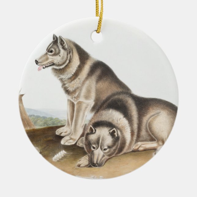 Esquimaux Dog (Canis familiaris) Illustration Ceramic Tree Decoration (Front)