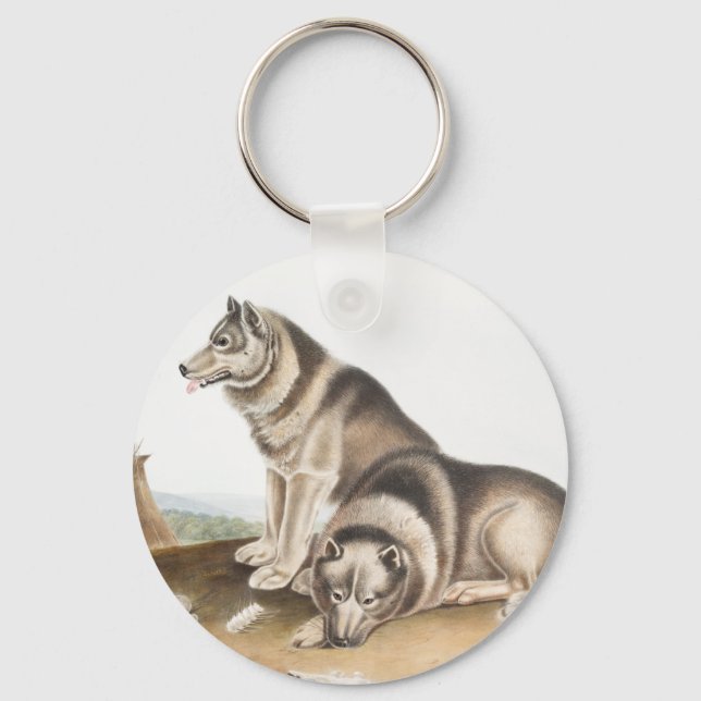 Esquimaux Dog (Canis familiaris) Illustration Key Ring (Front)