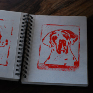 Esra Harlekin Great Dane