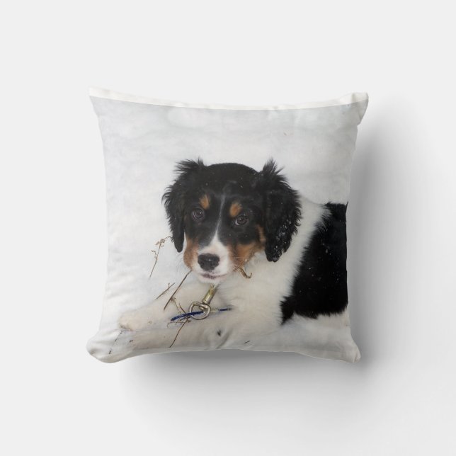 ess bwt puppy cushion (Front)