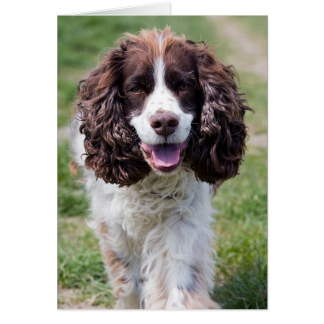 ess walking.png (Front)