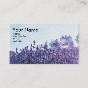 Essential Oil Business Cards with Lavender
