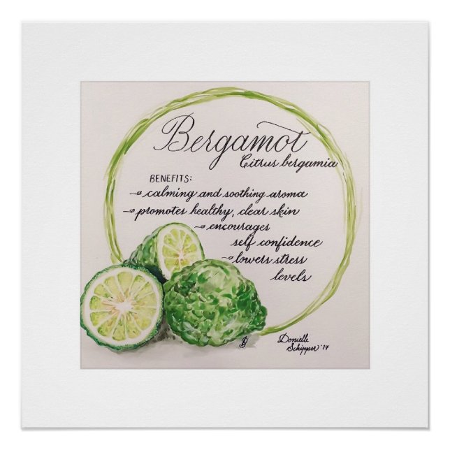 Essential Oil Watercolor Print - Bergamot (Front)
