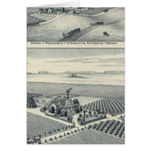 Estella Blanca Vineyard, California