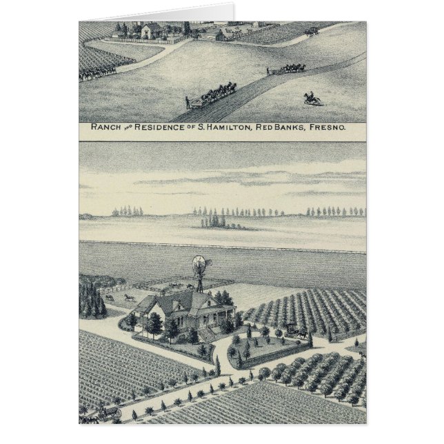 Estella Blanca Vineyard, California (Front)