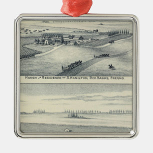 Estella Blanca Vineyard, California Metal Tree Decoration