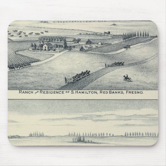 Estella Blanca Vineyard, California Mouse Mat (Front)