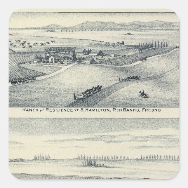 Estella Blanca Vineyard, California Square Sticker (Front)