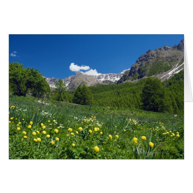 Estenc Valley  in spring French Riviera (Front Horizontal)