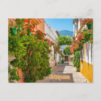  Estepona, Spain Charming Town in Malaga Street  Postcard