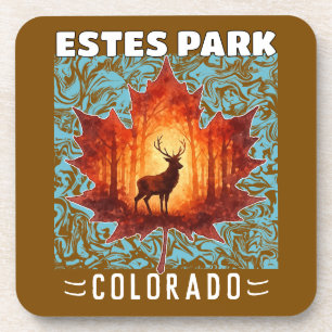 Estes Park Coaster