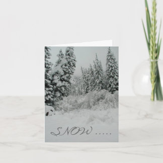 Estes Park, Colorado Holiday Card