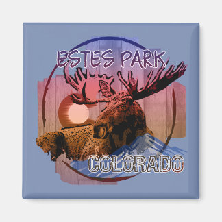 Estes Park Colorado rustic moose magnet