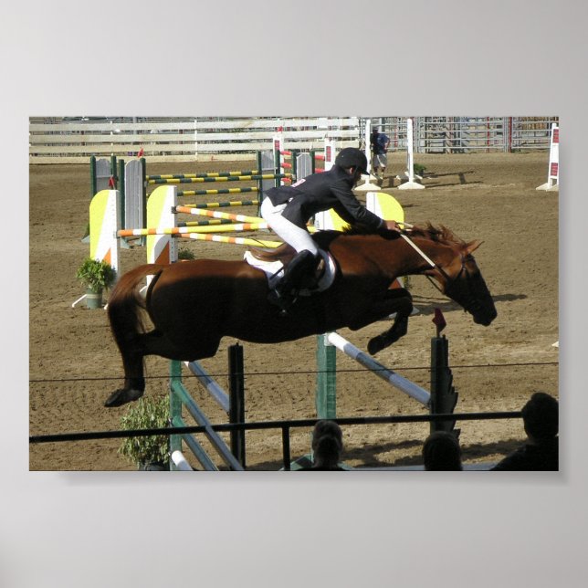 Estes Park Series (1) Poster (Front)