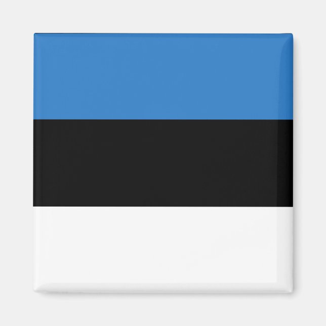 Estonia Country Flag Magnet (Front)