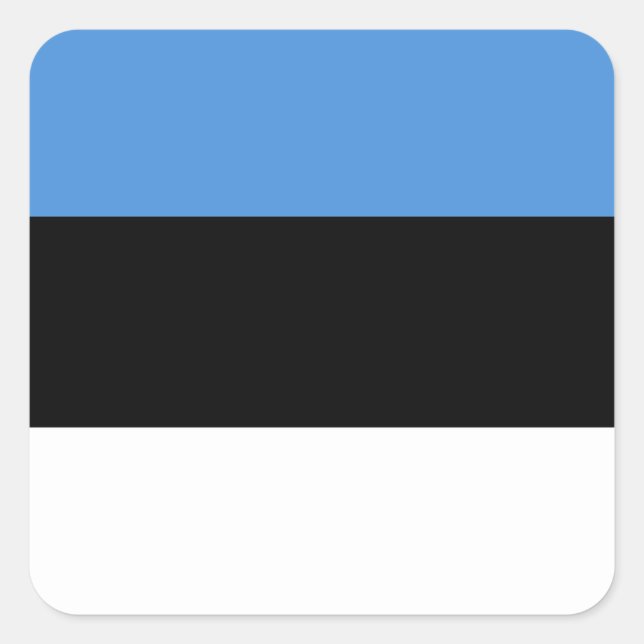 Estonia (Estonian) Flag Square Sticker (Front)