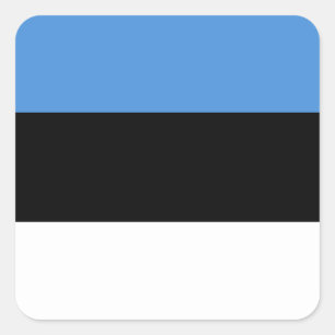 Estonia (Estonian) Flag Square Sticker