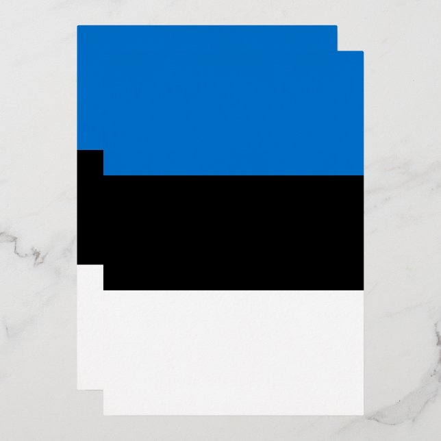 Estonia flag (Front/Back)