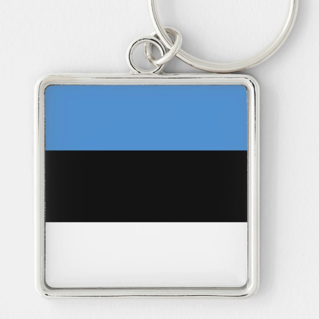 Estonia Flag EE Key Ring (Front)