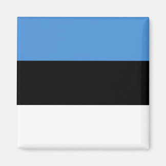Estonia Flag EE Magnet