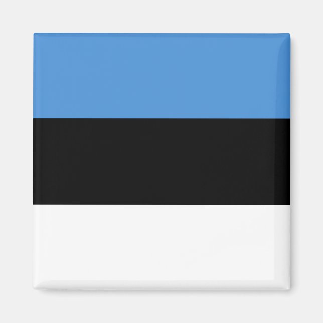 Estonia Flag EE Magnet (Front)