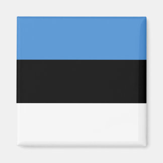 Estonia Flag Magnet