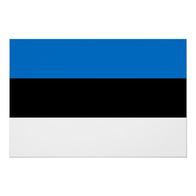 Estonia Flag Poster (Front)