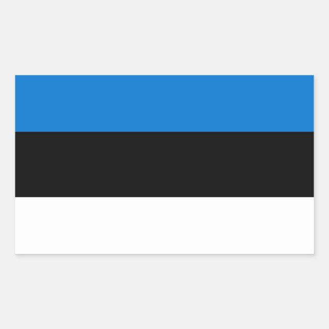 Estonia Flag Rectangular Sticker (Front)