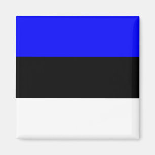 Estonia High quality Flag Magnet