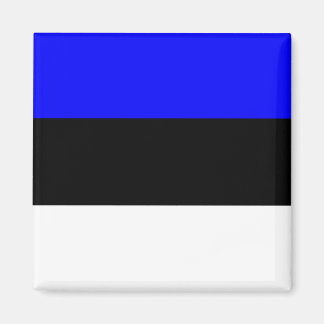 Estonia High quality Flag Magnet