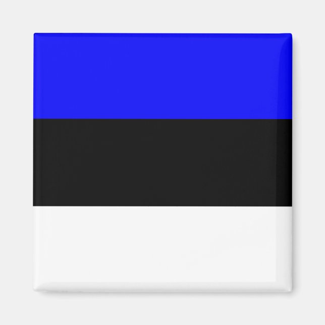 Estonia High quality Flag Magnet (Front)