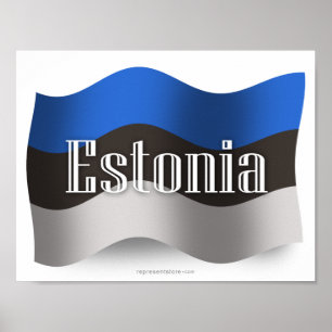 Estonia Waving Flag Poster