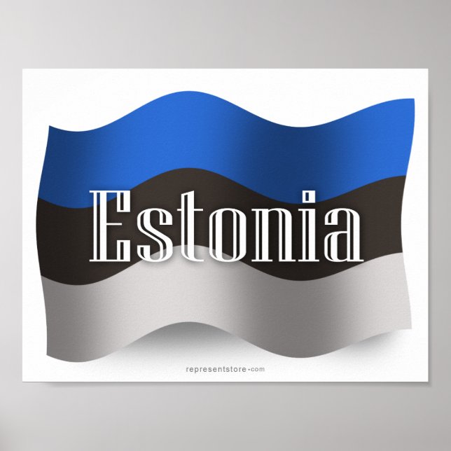 Estonia Waving Flag Poster (Front)