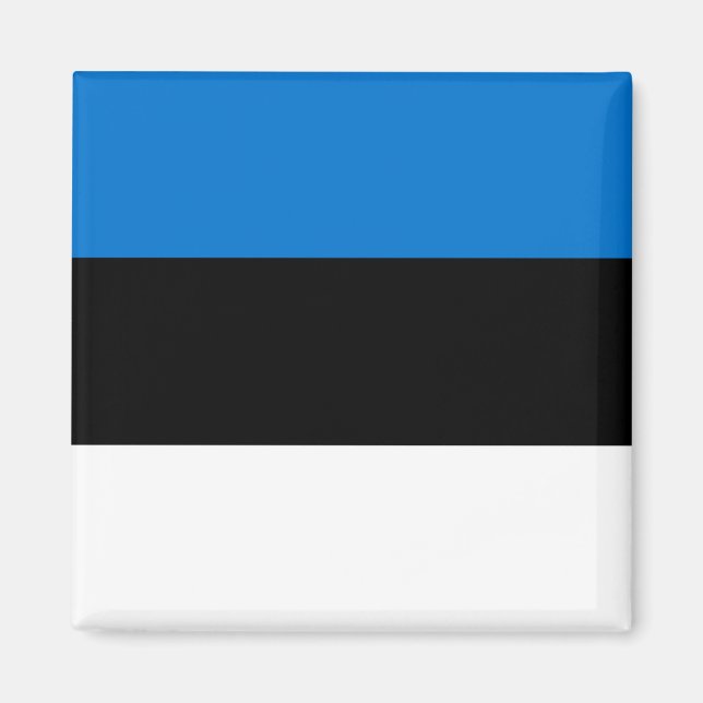 Estonian Flag Magnet (Front)