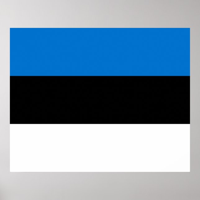 Estonian Flag Poster (Front)
