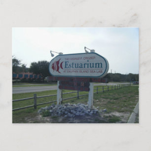 Estuarium Postcard