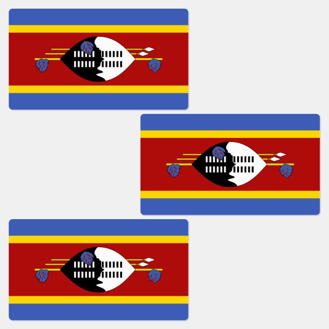 Eswatini Flag (Group)