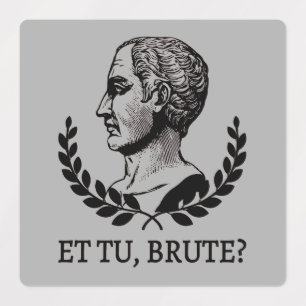 Et Tu, Brute? Shakespeare's Julius Caesar Quote V