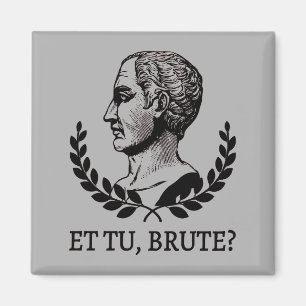 Et Tu, Brute? Shakespeare's Julius Caesar Quote V Magnet