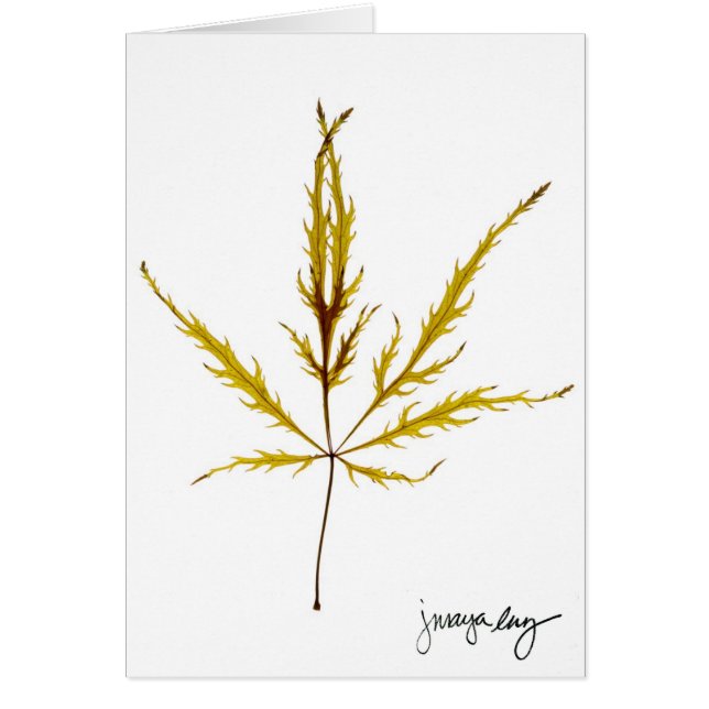 "Etched Leaf" by J. Maya Luz (Front)