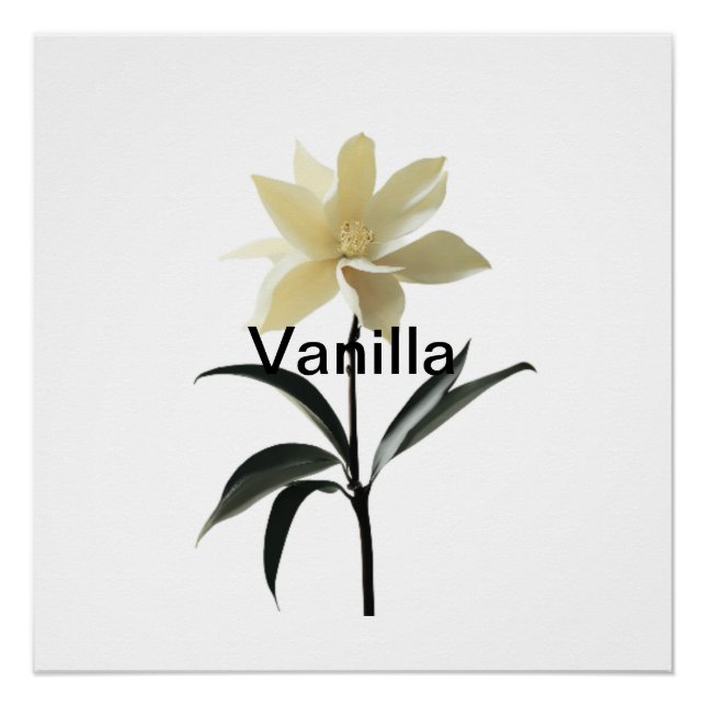  Ethereal Magnolia Grace Poster (Front)