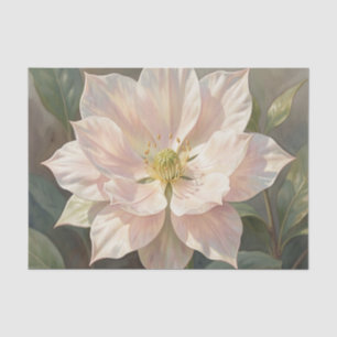 Ethereal Pale Pink Hellebore Bloom Tissue Paper